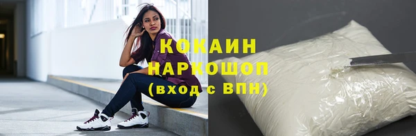 гашик Магас