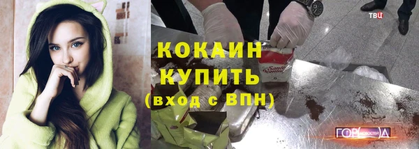гашик Магас