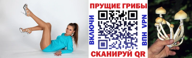 Псилоцибиновые грибы ЛСД  Купить закладки  Тула 
